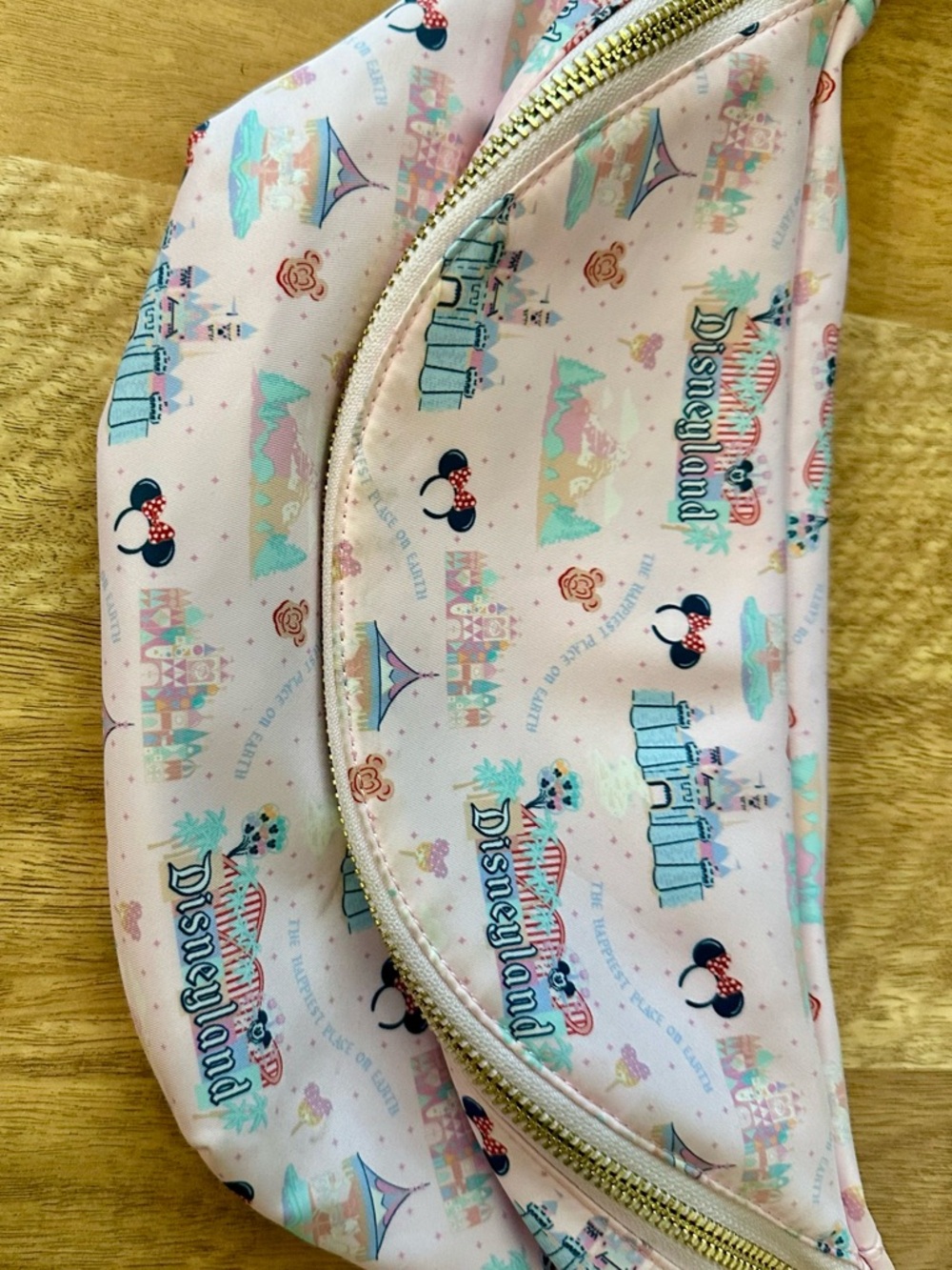 Stoney Clover Disneyland Hip Pack